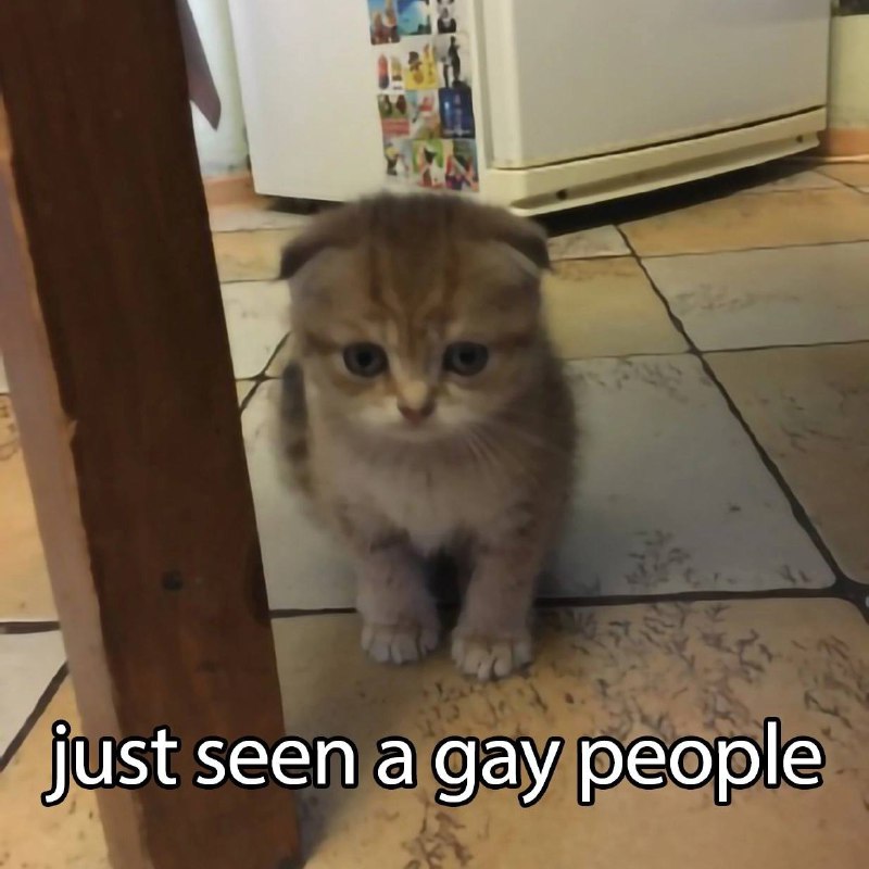 Meme just seen a gay people