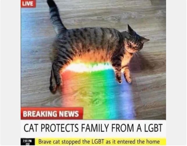 Meme Cat protect family from a LGBT