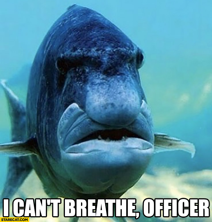 Meme I can't breathe officer