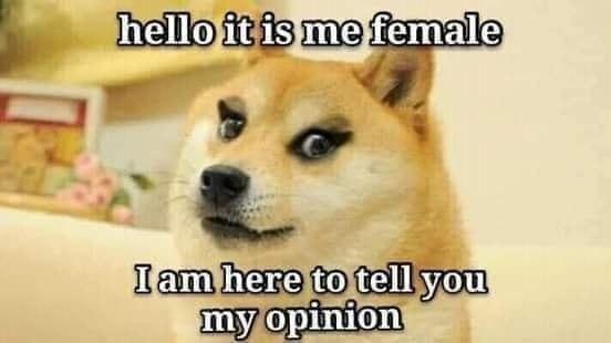 Meme hello it is me female - i am here to tell you my opinion