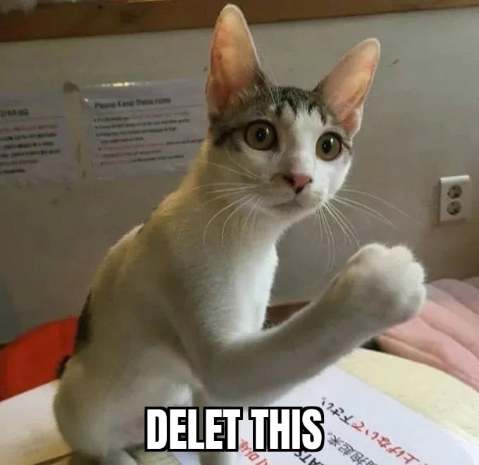 Meme Delet this - Cat