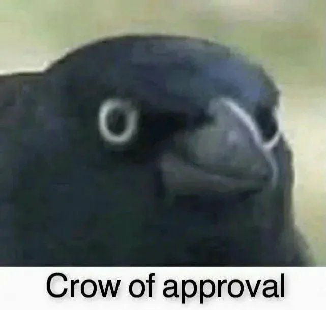 Meme Crow of approval