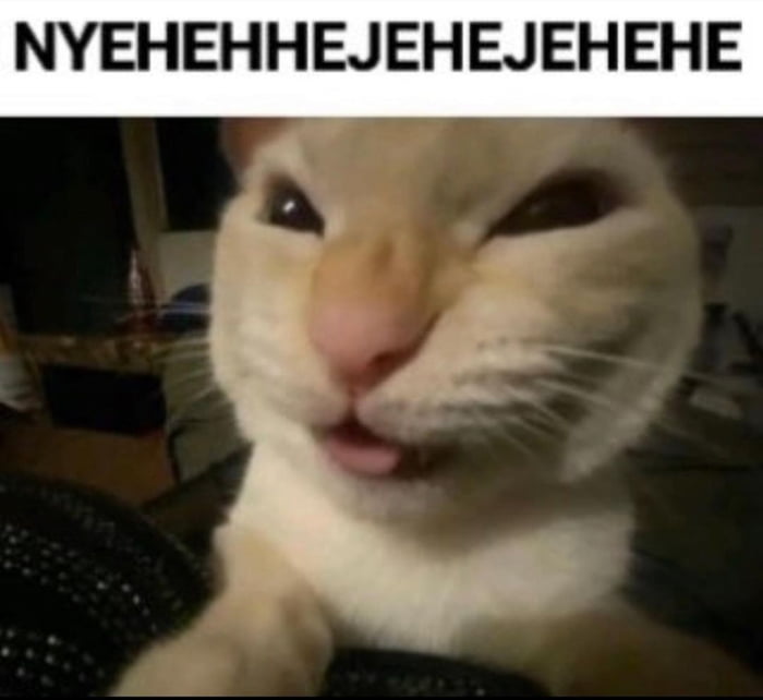 Meme Nyehehehe - Cat laugh