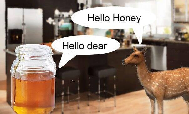 Meme Hello honey - Hello dear