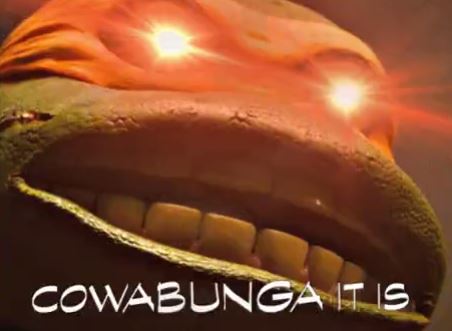 Meme Cowabunga it is