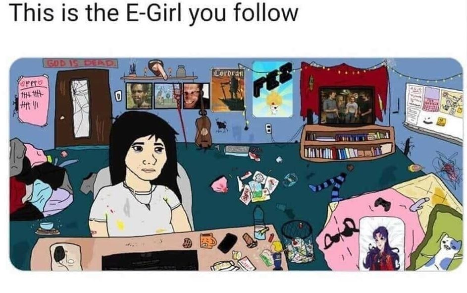 Meme This is the E-Girl you follow