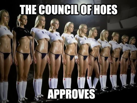 Meme The council of hoes approves