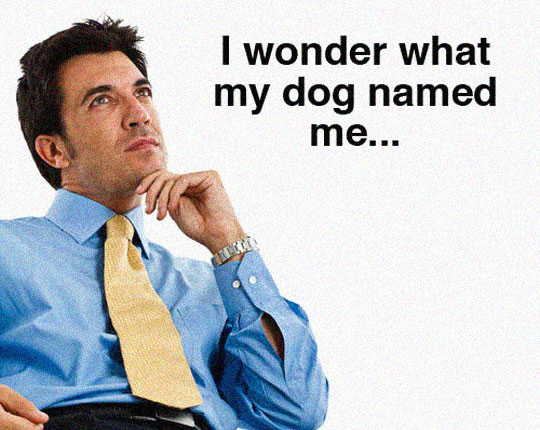 Meme I wonder what my dog named me