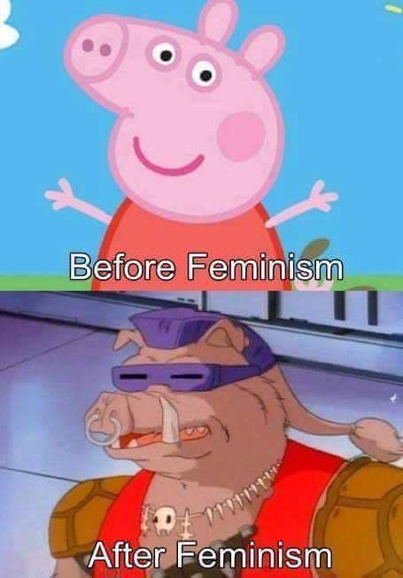 Meme Before feminism - After feminism