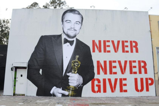 Meme Never give up - Leonardo DiCaprio