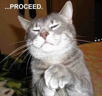 Proceed - Cat