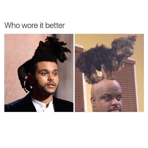 Meme Who wore it better