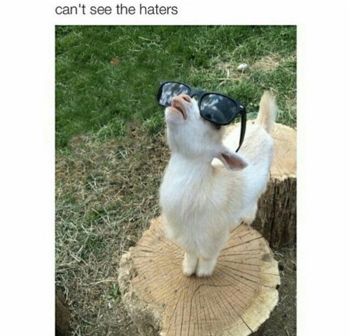 Can't see the haters
