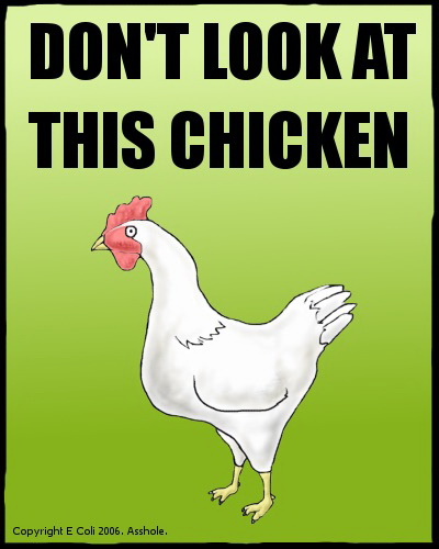 Meme Don't look at this chicken