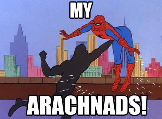 Meme My arachnads! - Spiderman