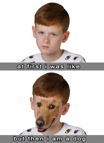 Meme At first I was like - But then I am a dog