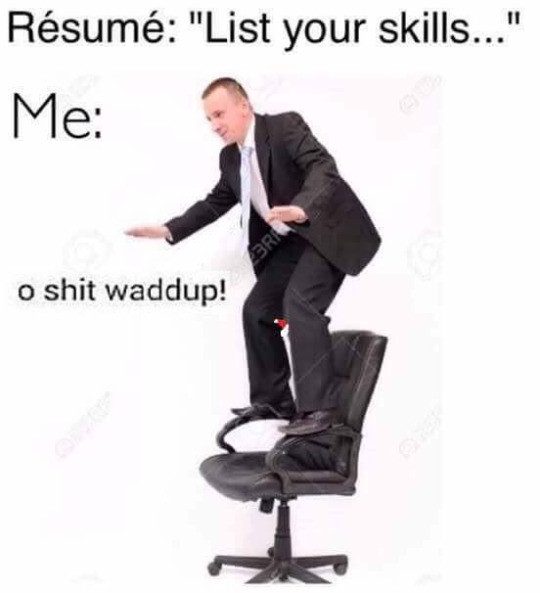 Meme Resume: List your skills