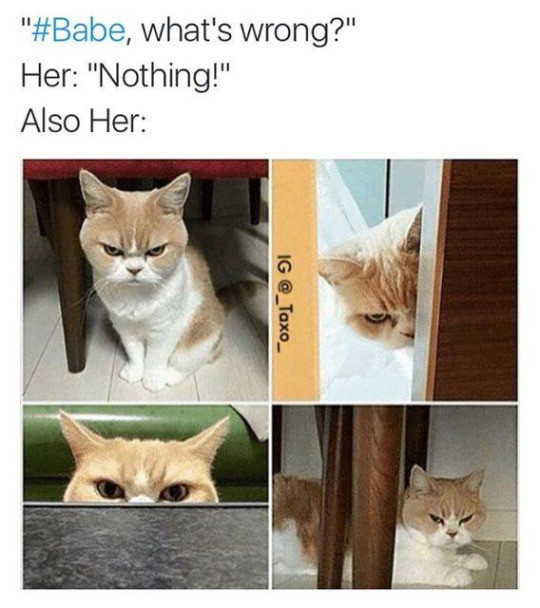 Meme Babe what's wrong? - Nothing