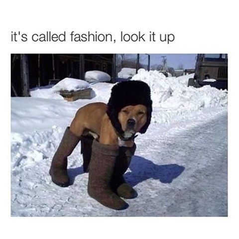 Meme It's called fashion look it up