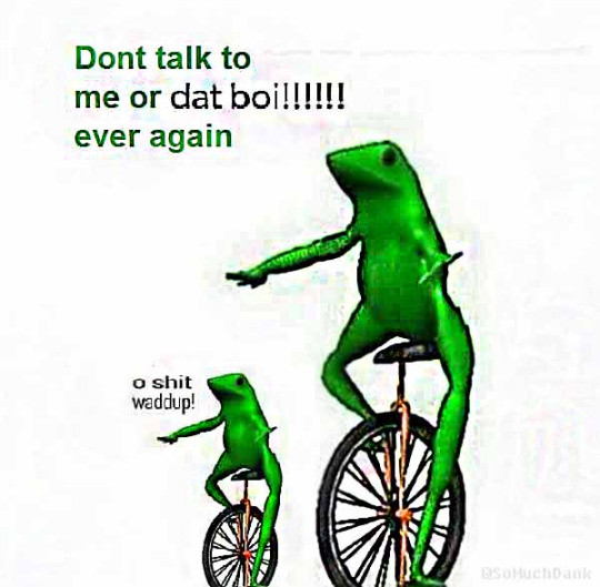 Meme Don't talk to me or dat boi ever again