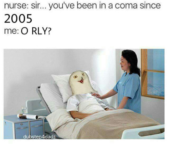 Meme Sir you've been in a coma since 2005 - O Rly?