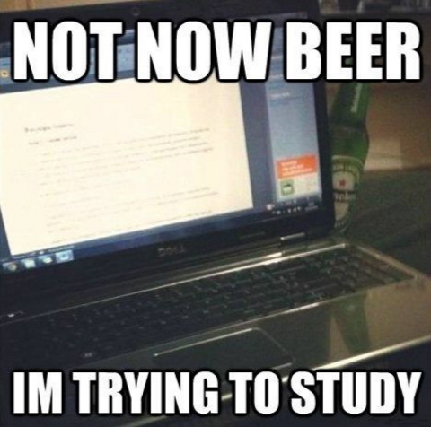 Not now beer I'm trying to study