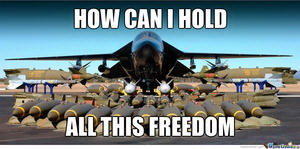 Meme How can I hold all this freedom