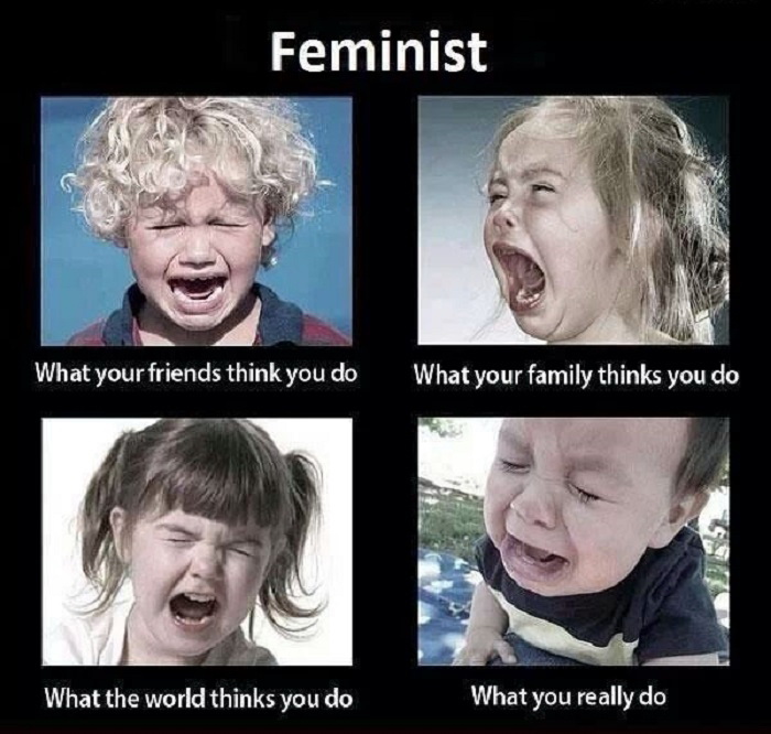 Meme Feminist