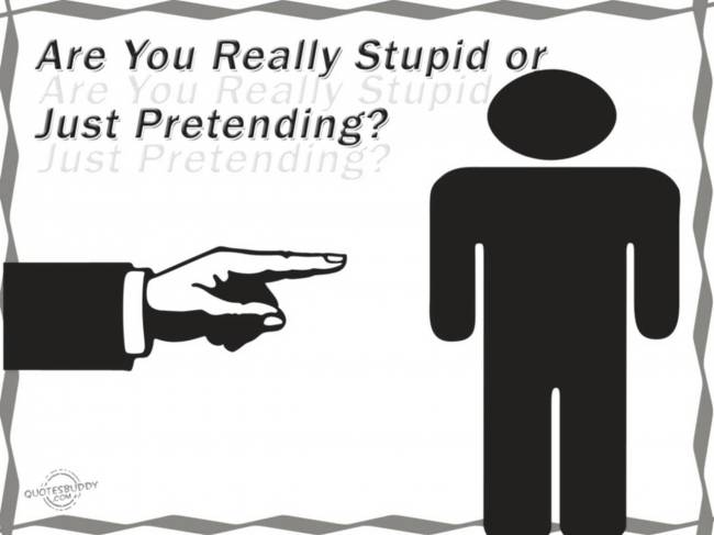 Are you really stupid or just pretending?