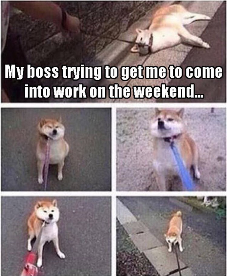 Meme My boss trying to get me come into work on weekend