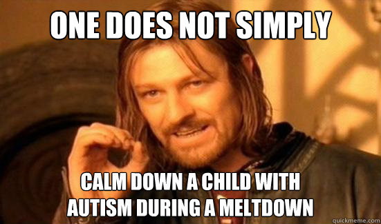 Meme One does not simply calm down a child with autism during a meltdown