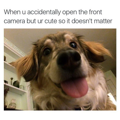 Meme When you accidentally open the front camera but you are cute