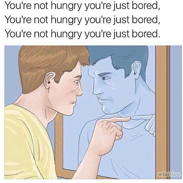 Meme You’re Not Hungry You’re Just Bored