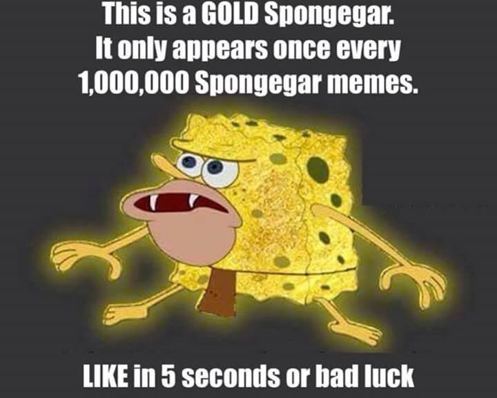 Meme This is a gold Spongegar