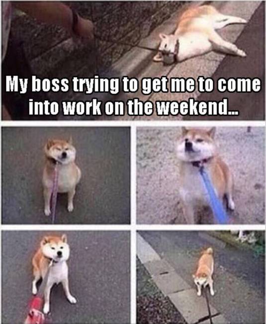 My boss trying to get me come into work on weekend