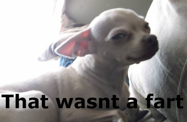 That wasn't a fart