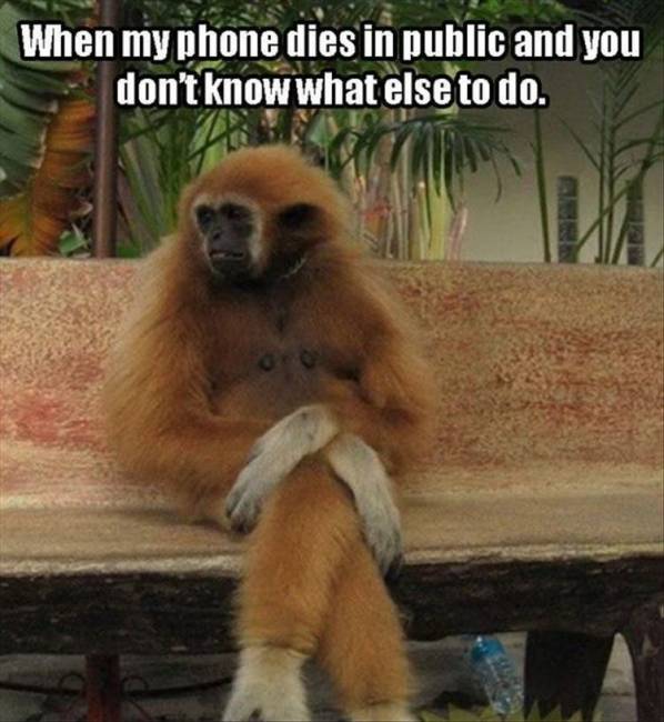 When my phone dies in public