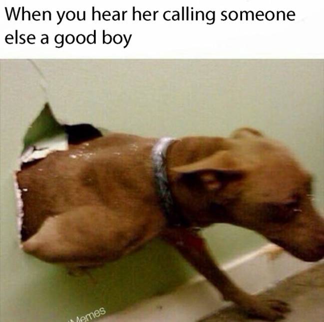 When you hear her calling someone else a good boy
