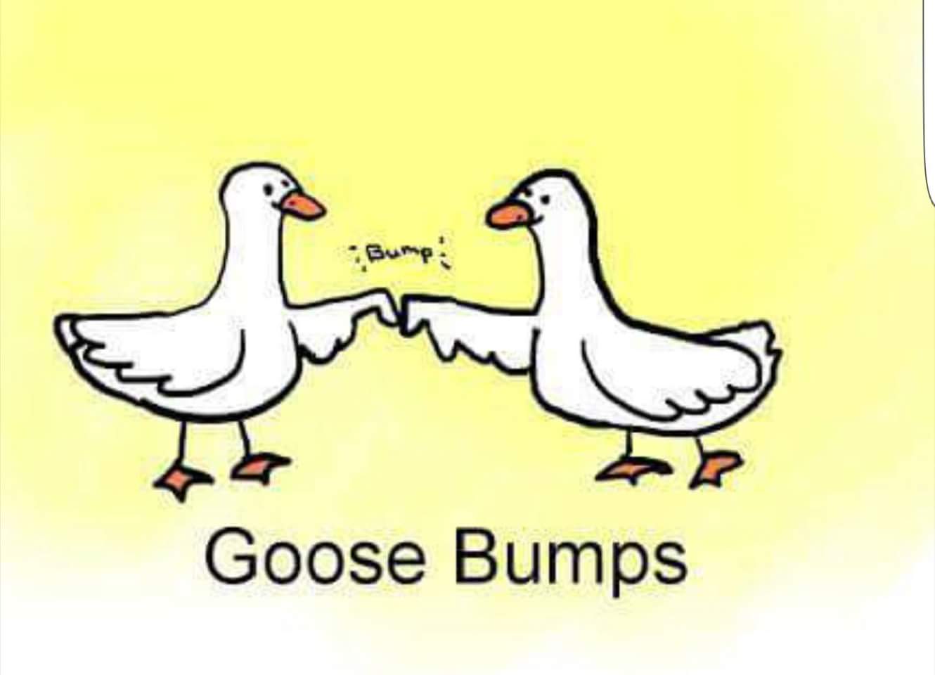 Wawa goose bumps