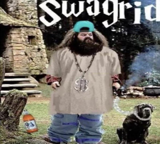 Meme Swagrid