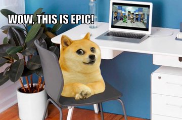 Meme Wow this is epic - Little Doge