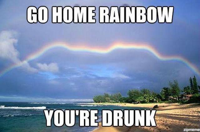 Meme Go home rainbow - You're drunk