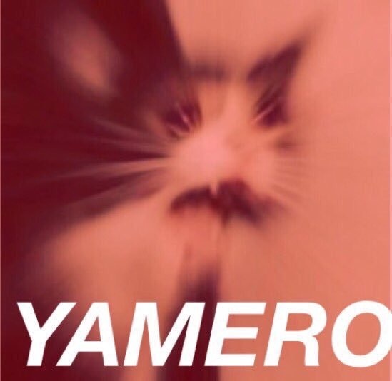 Meme Yamero Cat