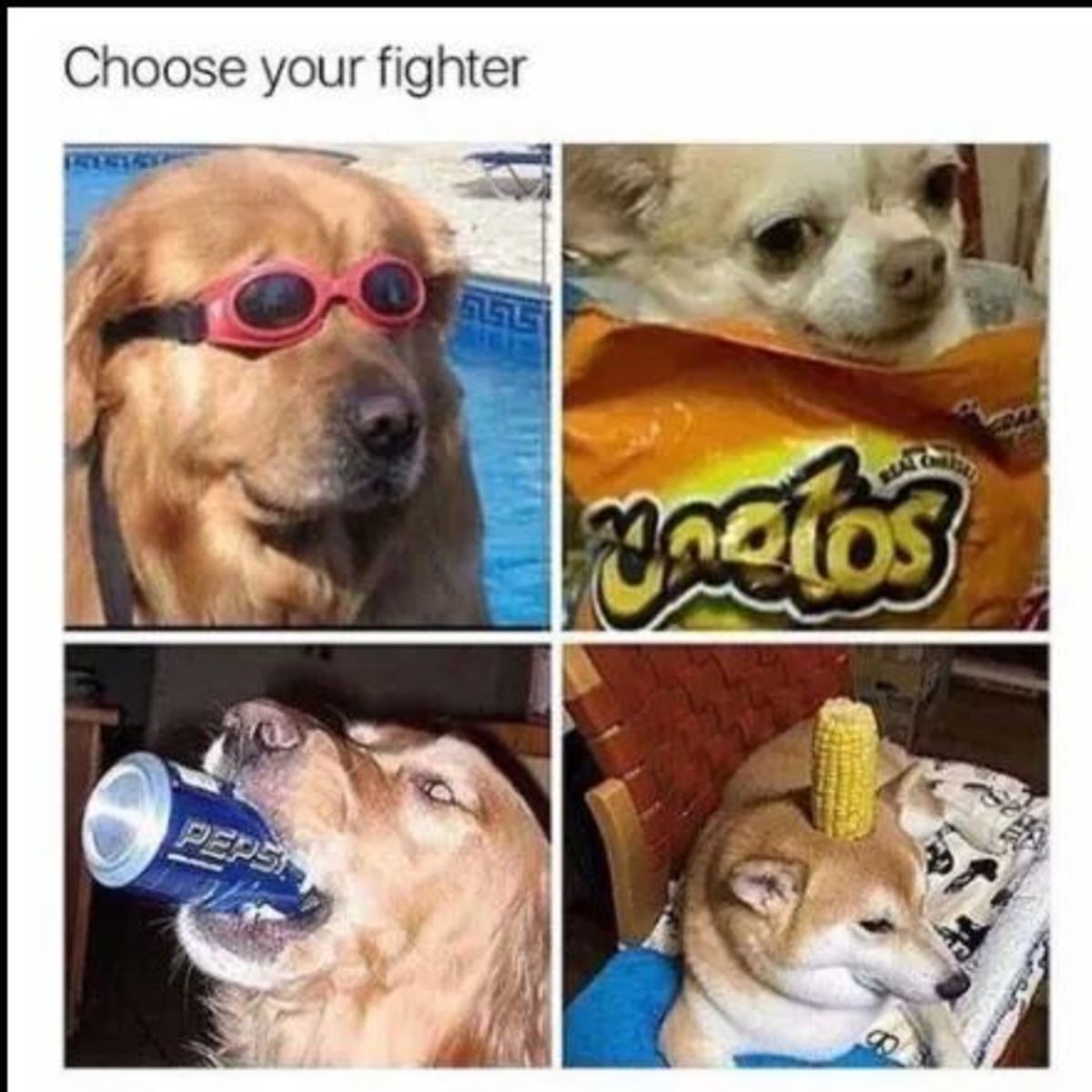 Meme Choose your fighter