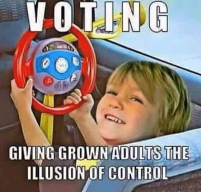 Meme Voting - Giving grown adults the illusion of control