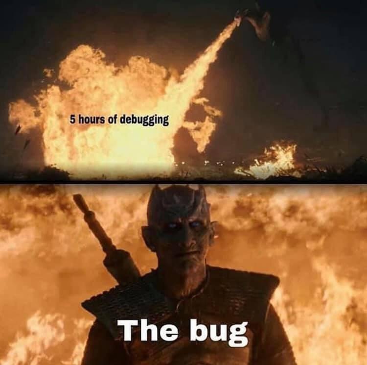 Meme 5 hours of debugging - The bug