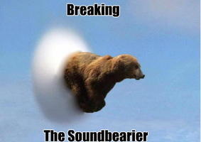 Meme Breaking the soundbearier