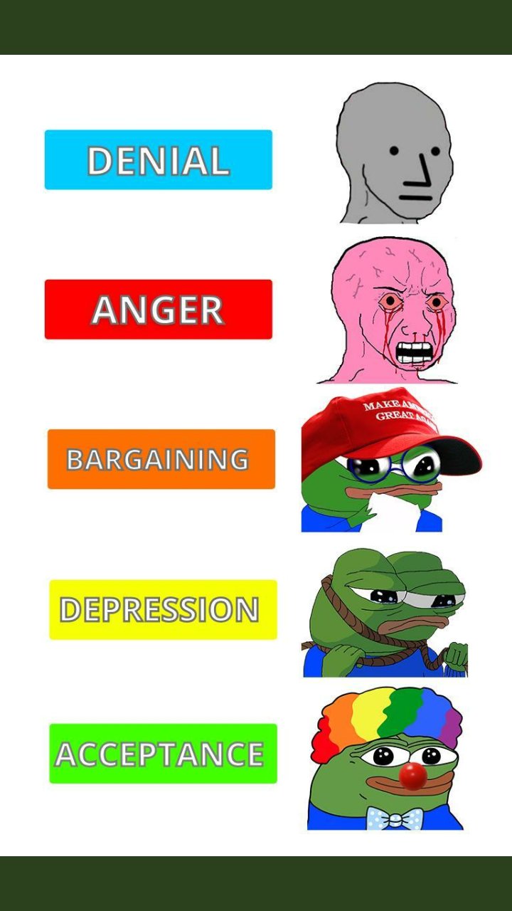 Meme Denial anger bargaining depression and acceptance