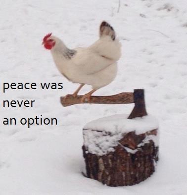 Meme Peace was never an option