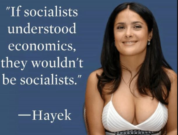 Meme If socialists understood economics they wouldn't be socialists - Hayek